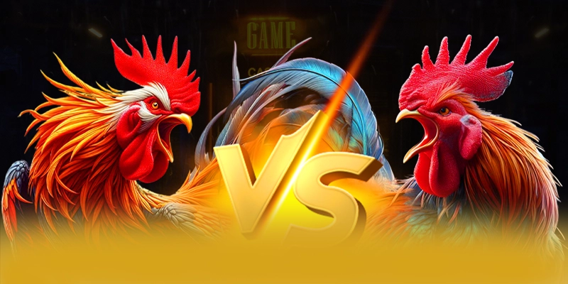 Quy trình giao dịch nhanh chóng và an toàn tại 8XBET
