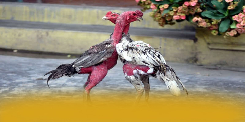 An toàn dữ liệu cá nhân tại BET88 An toàn dữ liệu cá nhân tại BET88