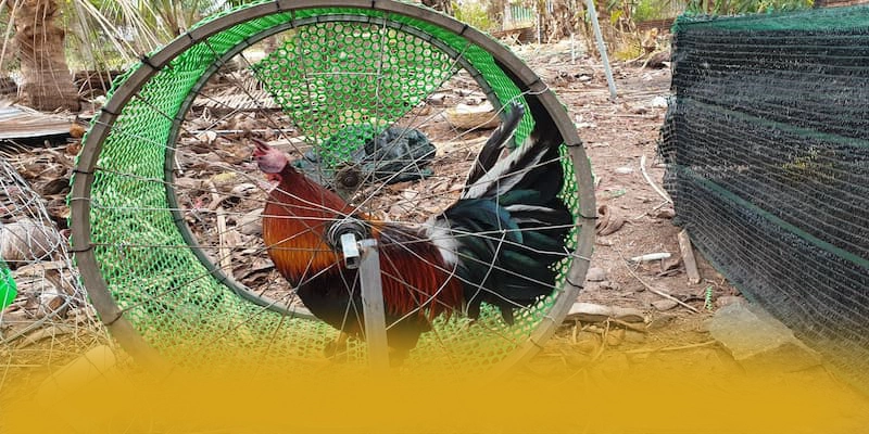 Ưu đãi giá trị lớn dành cho cộng đồng tại BET88 Ưu đãi giá trị lớn dành cho cộng đồng tại BET88